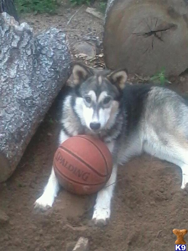 jesse101 Picture 1